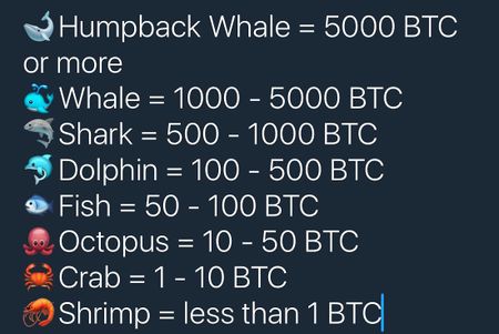 Crypto whale bitcoin